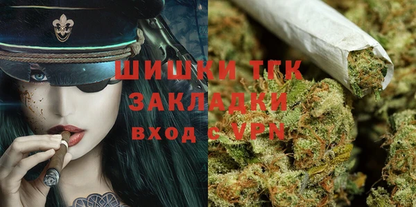 прущие грибы Белоозёрский