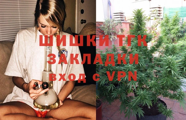 прущие грибы Белоозёрский