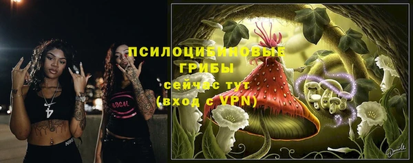 прущие грибы Белоозёрский