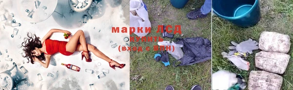 прущие грибы Белоозёрский