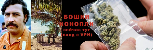 прущие грибы Белоозёрский
