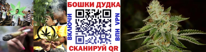 блэк спрут как войти  Южно-Сухокумск  МАРИХУАНА THC 21%  где найти наркотики 